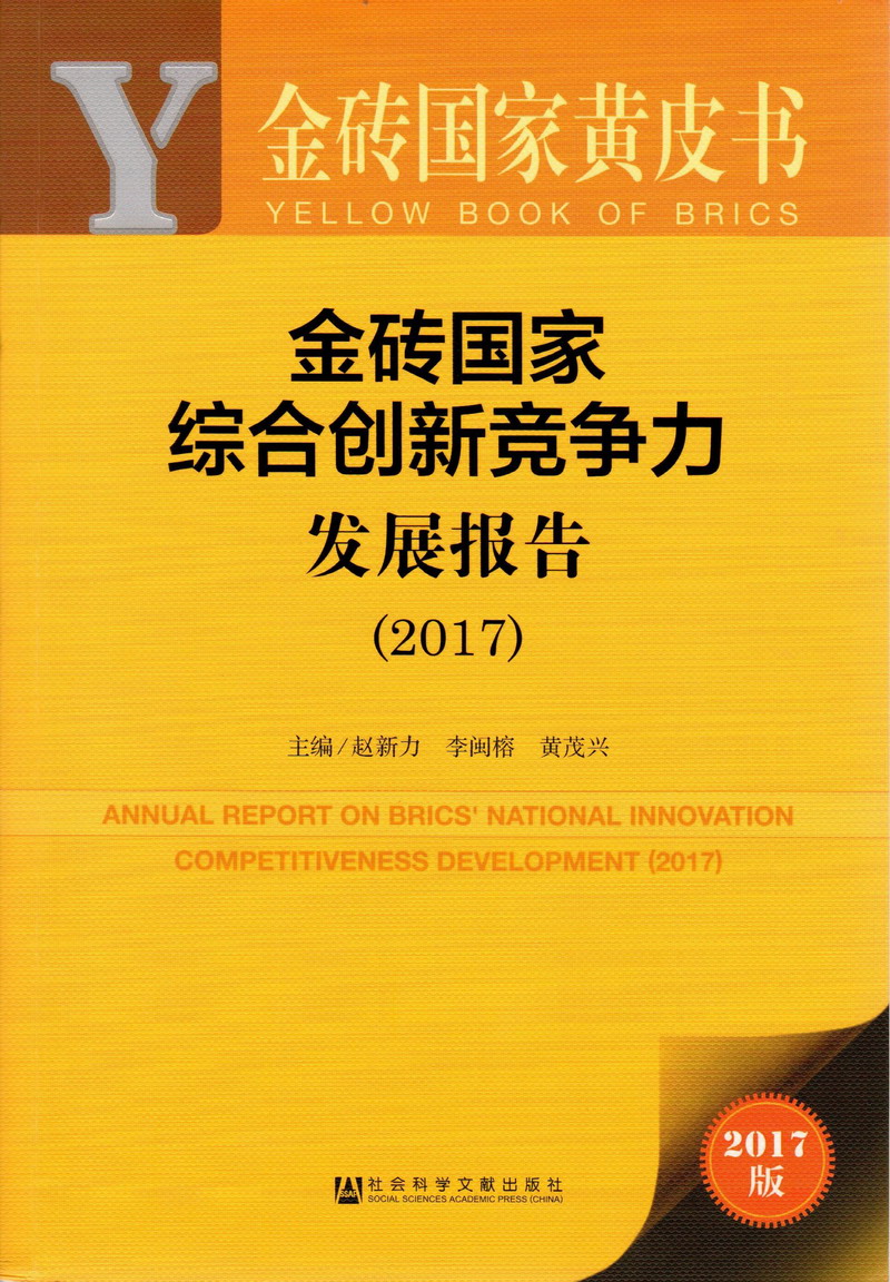 男人插女人真实网站黄金砖国家综合创新竞争力发展报告（2017）